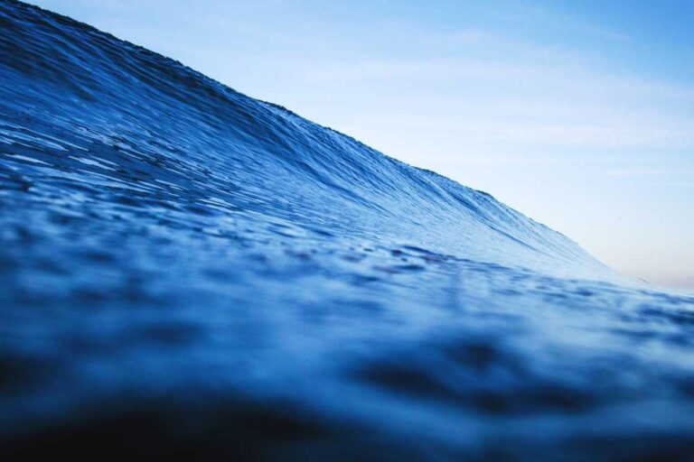 Nulla esse occaecati a et